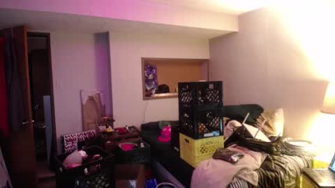 ginger_binj online show from 10-08-25, 06:00