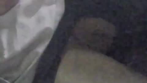 Snapshot of girlscallme666 chatting on 09-09-25, 03:33 lovegirlscallme online show from 09-09-25, 03:33