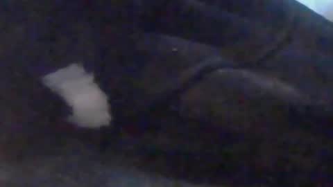 Snapshot of girlscallme666 chatting on 10-10-25, 03:44 lovegirlscallme online show from 10-10-25, 03:44