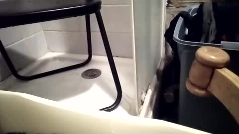 Snapshot of girlscallme666 chatting on 12-01-25, 07:30 lovegirlscallme online show from 12-01-25, 07:30