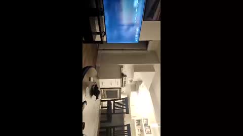 BIG K online show from 11-09-25, 03:49