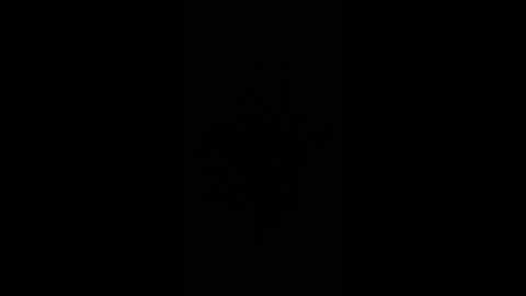 gjpj1 online show from 02-26-26, 12:59