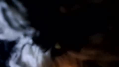 glizzy4u online show from 12-19-25, 05:31