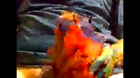 PencilDick online show from 12-05-24, 09:39