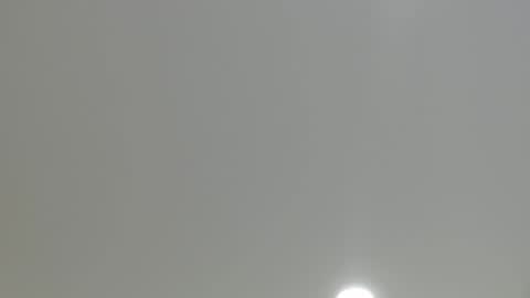 goath_08 online show from 01-19-25, 06:43