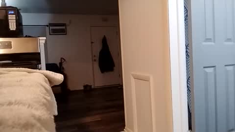 goblue4133 online show from 12-02-25, 05:02