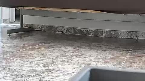 goddesshannahfeet_ online show from 04-07-26, 04:40