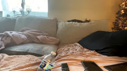 GoddessMayvn online show from 12-29-24, 04:40