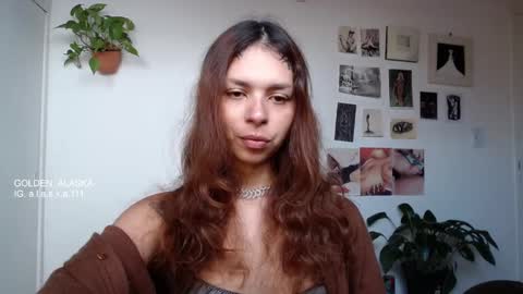 Snapshot of golden_alaska chatting on 09-24-25, 12:08 Alaska online show from 09-24-25, 12:08