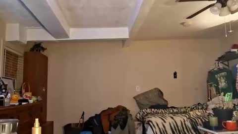 gonr369 online show from 02-17-26, 12:18