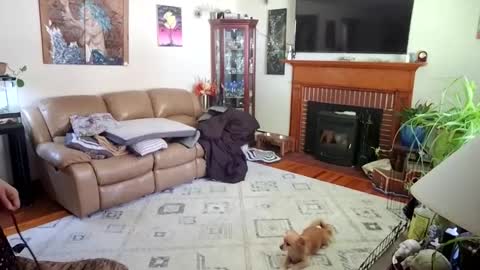 goodgirlcelestecat online show from 10-03-25, 03:31