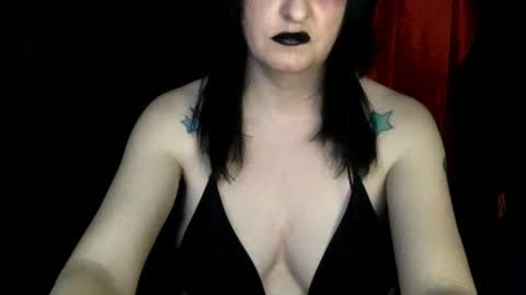 Kitten online show from 12-30-24, 02:53