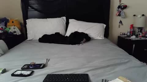 Snapshot of gothbaby305 chatting on 10-29-25, 01:46 gothbaby305 online show from 10-29-25, 01:46