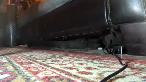 Mistress  Mommy  Godess online show from 01-25-25, 07:17