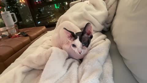 Gracie Mae online show from 12-23-25, 03:48