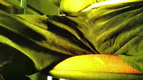 Snapshot of grapefruit chatting on 11-05-25, 12:05 grapefruit online show from 11-05-25, 12:05