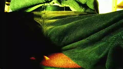 Snapshot of grapefruit chatting on 11-12-25, 09:21 grapefruit online show from 11-12-25, 09:21