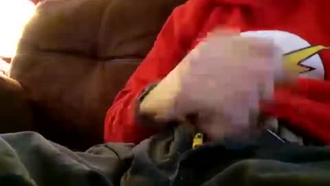 greenbastard78 online show from 11-28-25, 03:47