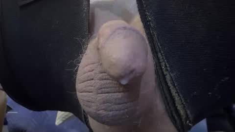 Snapshot of gregbball1 chatting on 02-19-26, 12:28 electrogee1 online show from 02-19-26, 12:28