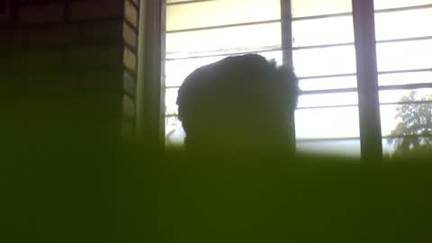 Grey Stud online show from 01-04-25, 06:09