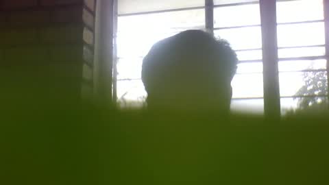 Grey Stud online show from 01-07-25, 05:33