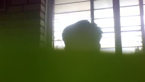 Grey Stud online show from 01-24-25, 06:57