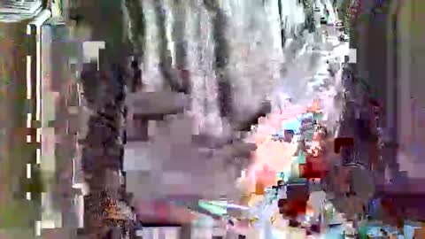 greyhounddog online show from 04-04-26, 09:29