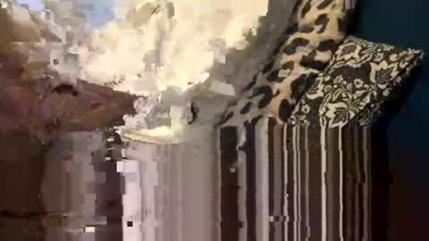 greymen2020 online show from 02-16-26, 06:04