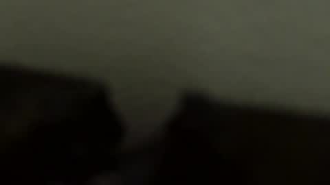 gronnn online show from 01-18-26, 04:05