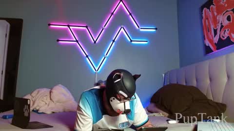 Alpha pup online show from 10-22-25, 07:57