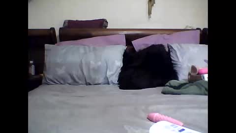 Snapshot of gucci_bx chatting on 03-08-25, 02:23 gucci-bx online show from 03-08-25, 02:23