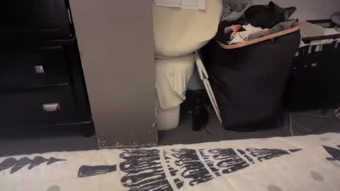 gumbywanna online show from 12-20-24, 01:36