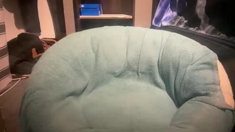 gumbywanna online show from 01-06-26, 11:51