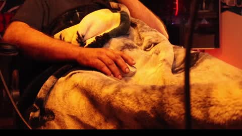 h0tttsteel online show from 12-18-24, 10:08