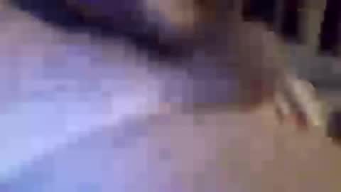 h_rd333 online show from 03-11-25, 01:45