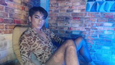 SAM online show from 12-15-24, 02:59