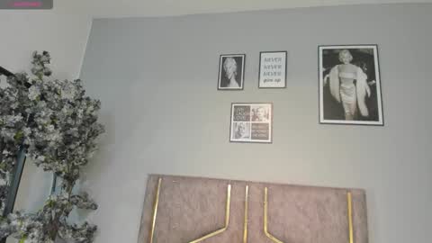 haileystonei online show from 01-09-26, 11:02