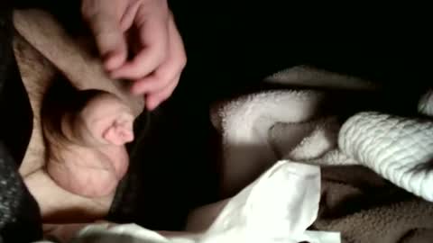 share9 online show from 02-02-26, 03:05