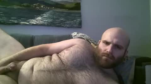 Hairiest Bear online show from 12-23-24, 11:36
