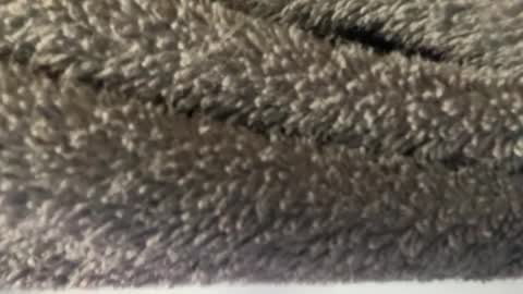 J  M online show from 03-08-25, 04:56