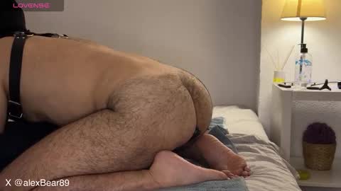 hairyarabbear online show from 09-13-25, 11:59