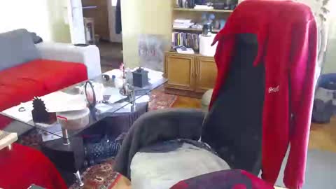 Puppy3 StockyDaddiesmusclebearsbeefybigmans online show from 02-15-25, 12:01
