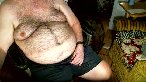 hairybear813 online show from 11-02-25, 09:50