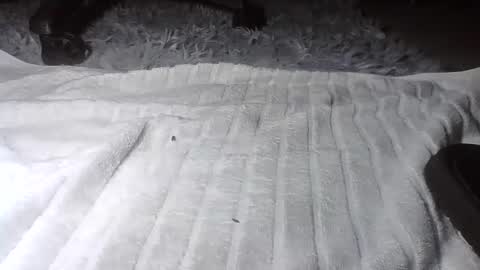 Hairy Daddy Feet online show from 11-21-25, 12:26