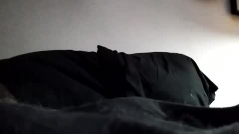 Snapshot of hairyspermballs chatting on 02-03-26, 12:53 Marty online show from 02-03-26, 12:53