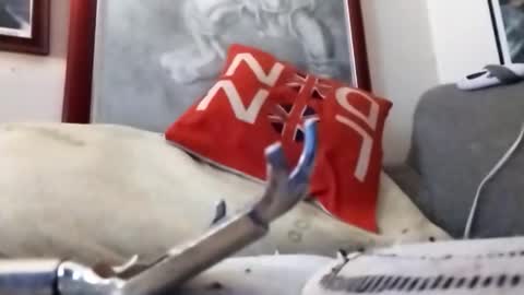 Snapshot of hairyspermballs chatting on 02-22-26, 09:24 Marty online show from 02-22-26, 09:24