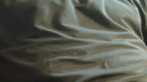 hamhead71 online show from 12-08-24, 10:03