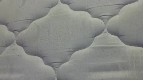 hamhead71 online show from 04-15-26, 08:10