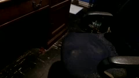 hammerhead973 online show from 12-22-25, 08:17