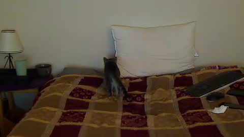 Snapshot of hammerthatthang73 chatting on 10-14-25, 08:59 hammerthatthang73 online show from 10-14-25, 08:59